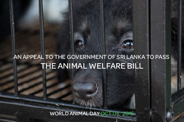 An appeal to the Government of Sri Lanka to pass the Animal Welfare Bill