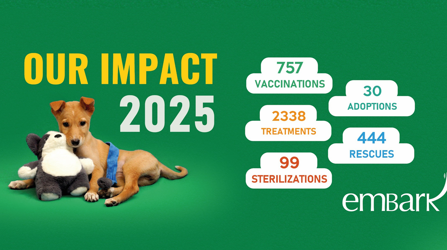 2025 at Embark: A Year of Rescue, Recovery, and Hope